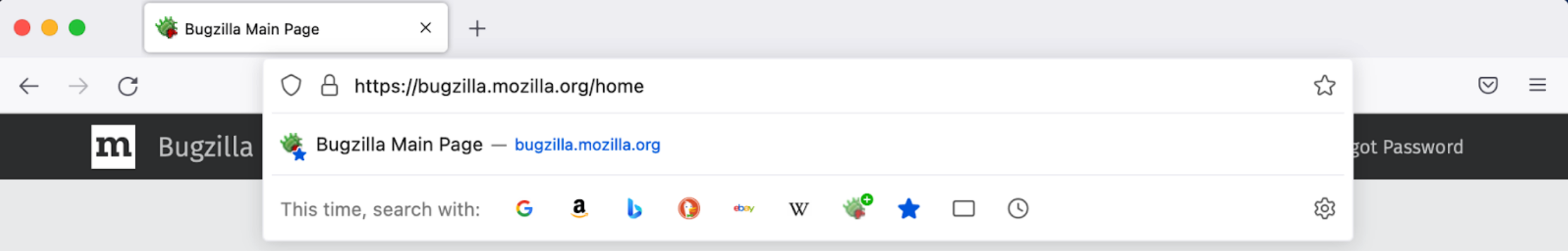 Image of the address bar input showing a URL